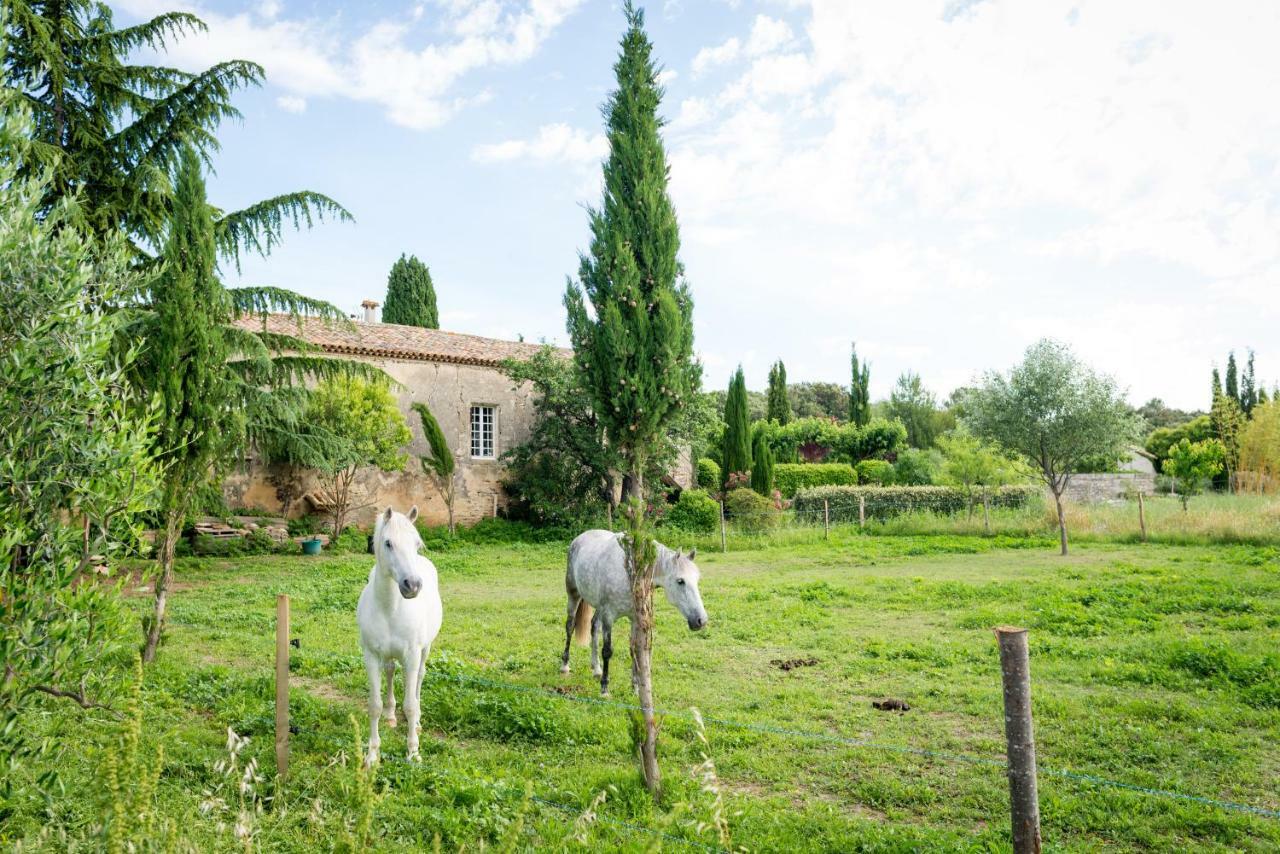 Villevieille Mas De La Rivoire B&B المظهر الخارجي الصورة
